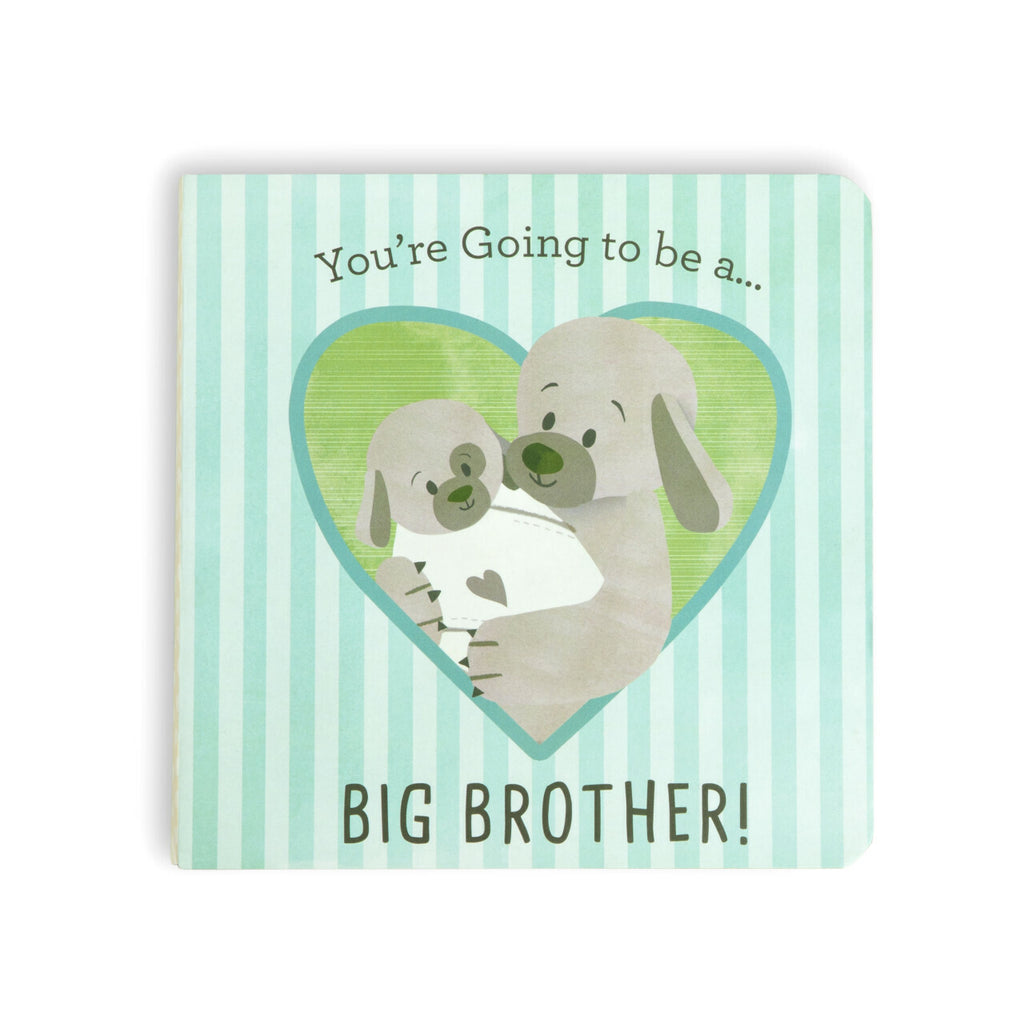 DEMDACO Baby - 15cm/6" You're Going To Be a Big Brother Book