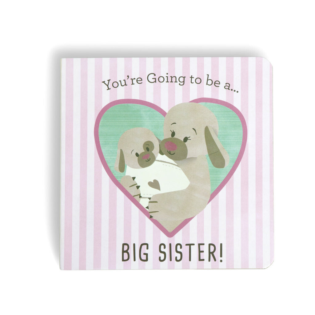 DEMDACO Baby - 15cm/6" You're Going To Be a Big Sister Book