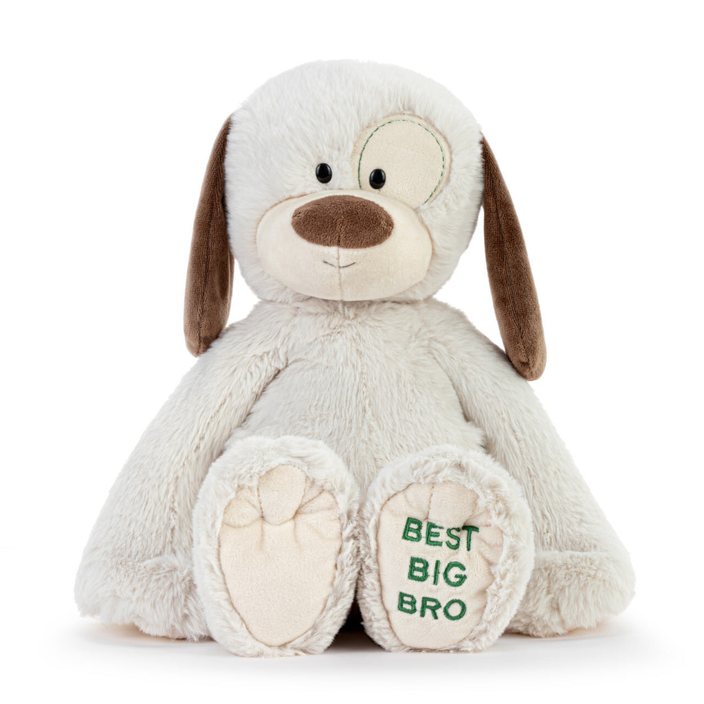 DEMDACO Baby - 40cm/16" Best Big Brother Plush Dog