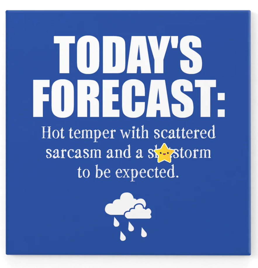 TODAY'S FORECAST - DEFAMATIONS MAGNET