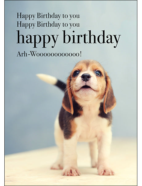 Dog Animal Birthday Card - Happy Birthday