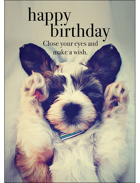 Dog Animal Birthday Card - Close your eyes and make a wish