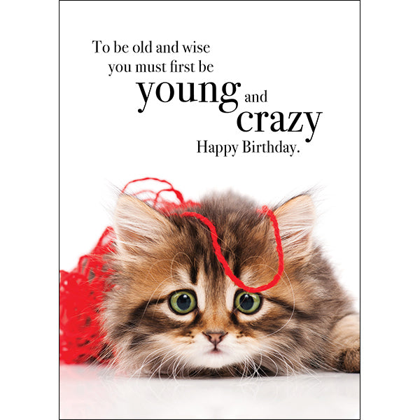 Cat Animal Birthday Card - To be old and wise