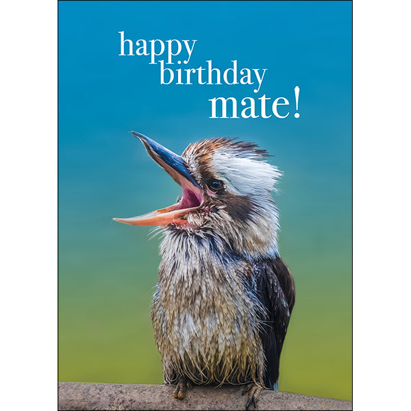 Kookaburra Animal Birthday Card - Happy Birthday mate