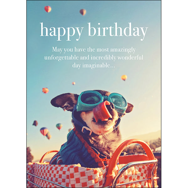 Dog Animal Birthday Card - May you have the most amazing...