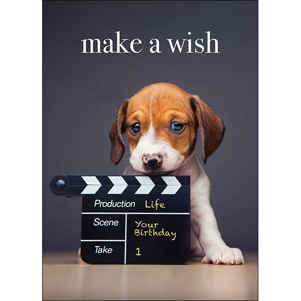 Dog Animal Birthday Card - Make A Wish