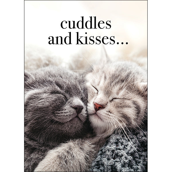 Kitten Animal Thinking of You Card - Cuddles and Kisses