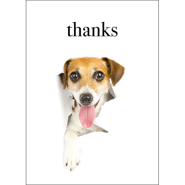 Thanks - Animal Greeting Card