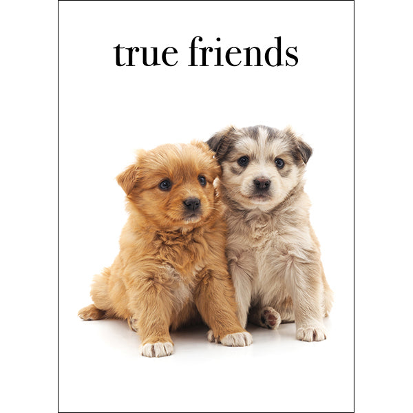 True Friends - Animal Greeting Card