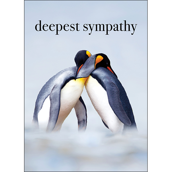 Penguin Sympathy Card