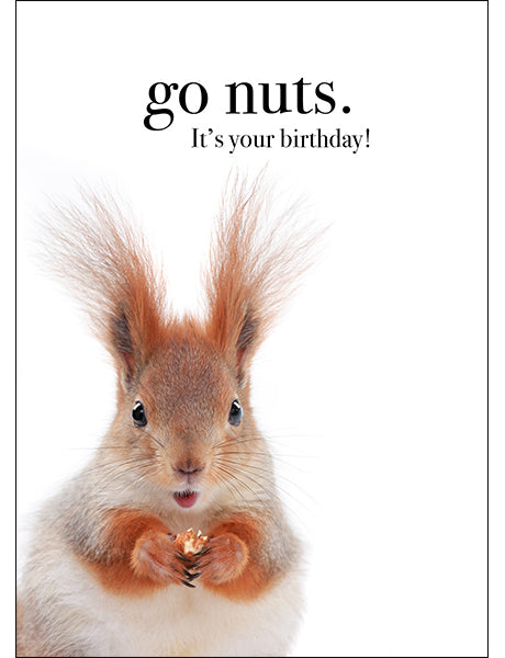 Squirrel Animal Birthday Card - Go Nuts