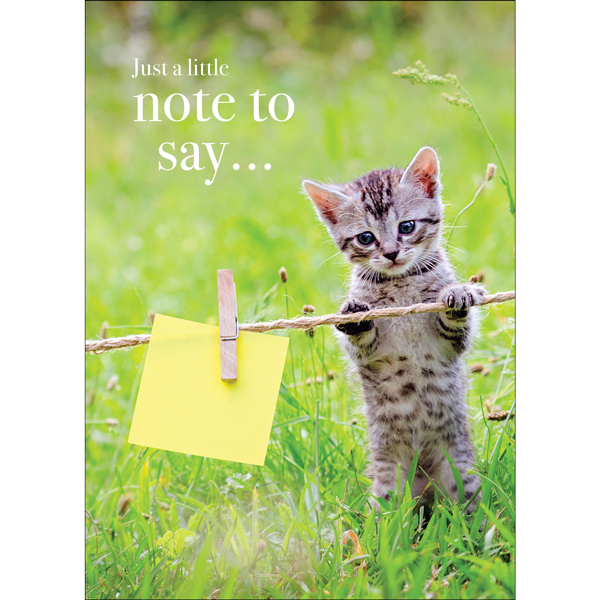 Kitten greeting card - Just a note to say...