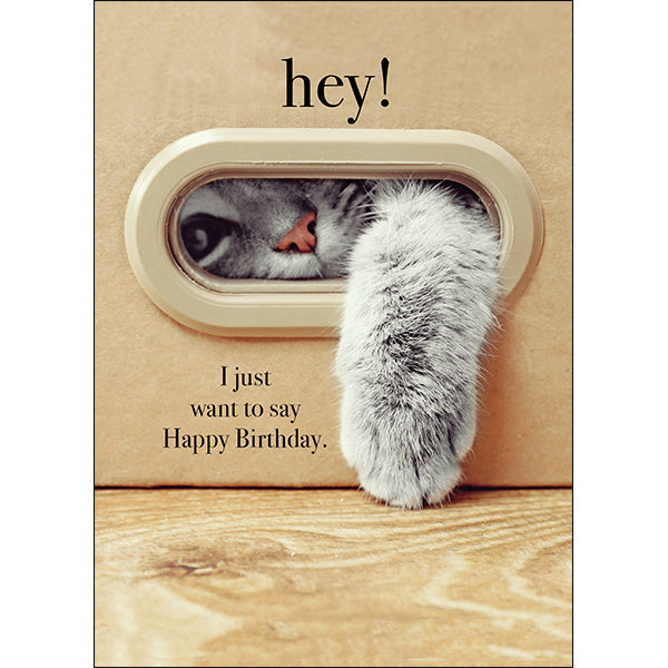 Kitten Paw Animal Birthday Card - Hey