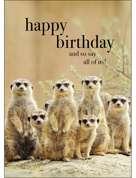 Meerkats Animal Birthday Card - And so say all of us