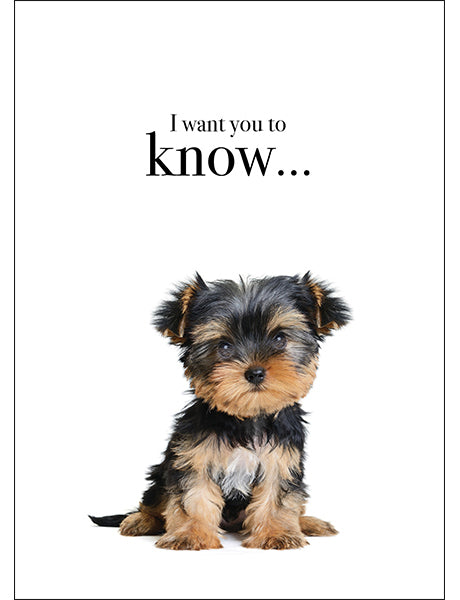 Puppy Love Card - I want you to know
