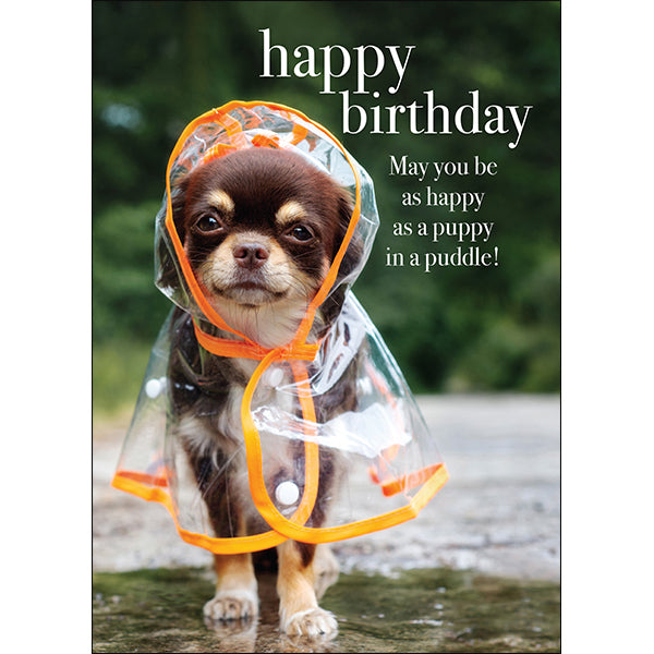 Dog Animal Birthday Card - Puppy in a puddle