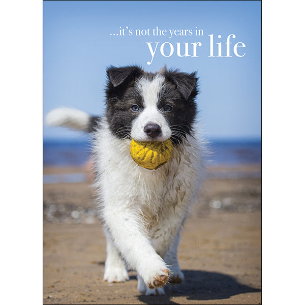Dog Greeting Card - It's not the years