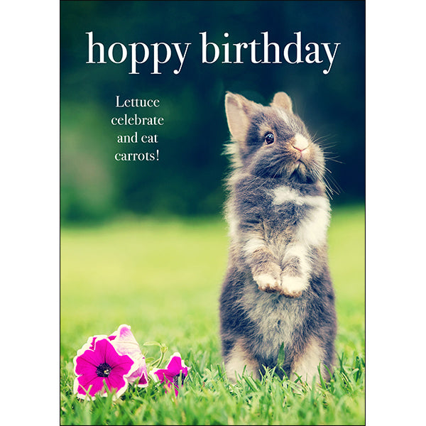 Rabbit Birthday Card - Hoppy Birthday - Animal greeting card
