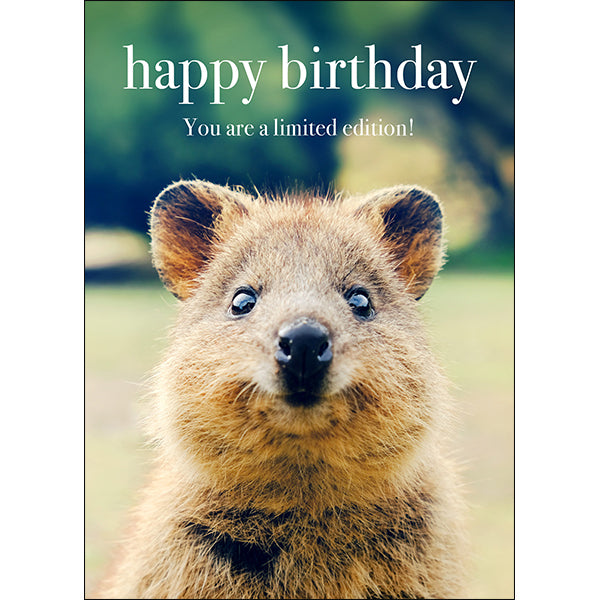Quokka Birthday Card - You are a limited edition!