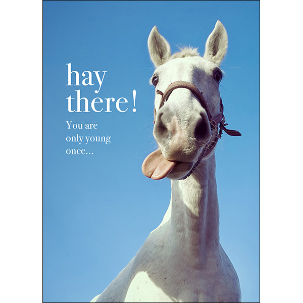Horse Birthday Card - Hay there! You are only young once