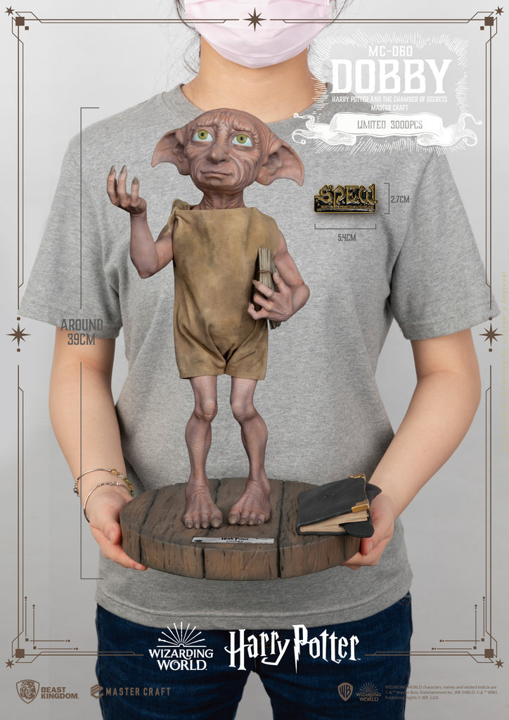 Why Dobby Helped Harry Potter in Chamber of Secrets