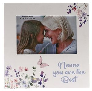 NANNA YOU ARE THE BEST 6X4 FRAME