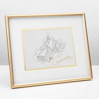 Cinderella Disney Collectable Frame