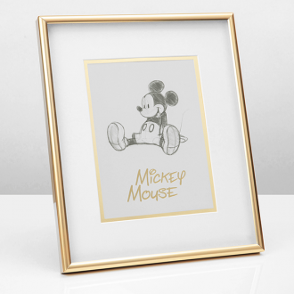 Mickey Disney Collectable Frame